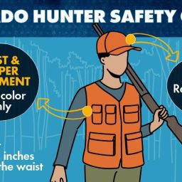 An illustrated hunter wearing an orange vest and hat, holding a rifle. Text indicates hunters must wear a solid orange vest and a hat, with at least 500 sq. inches of orange above the waist.