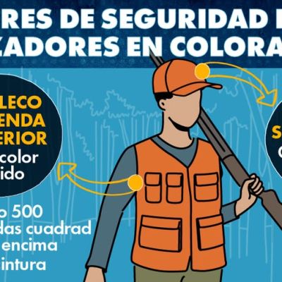 Infografía en español que muestra un cazador usando chaleco naranja y sombrero. Explica que en Colorado es obligatorio usar sombrero y prendas superiores de color sólido y mínimo 500 pulgadas cuadradas sobre la cintura.